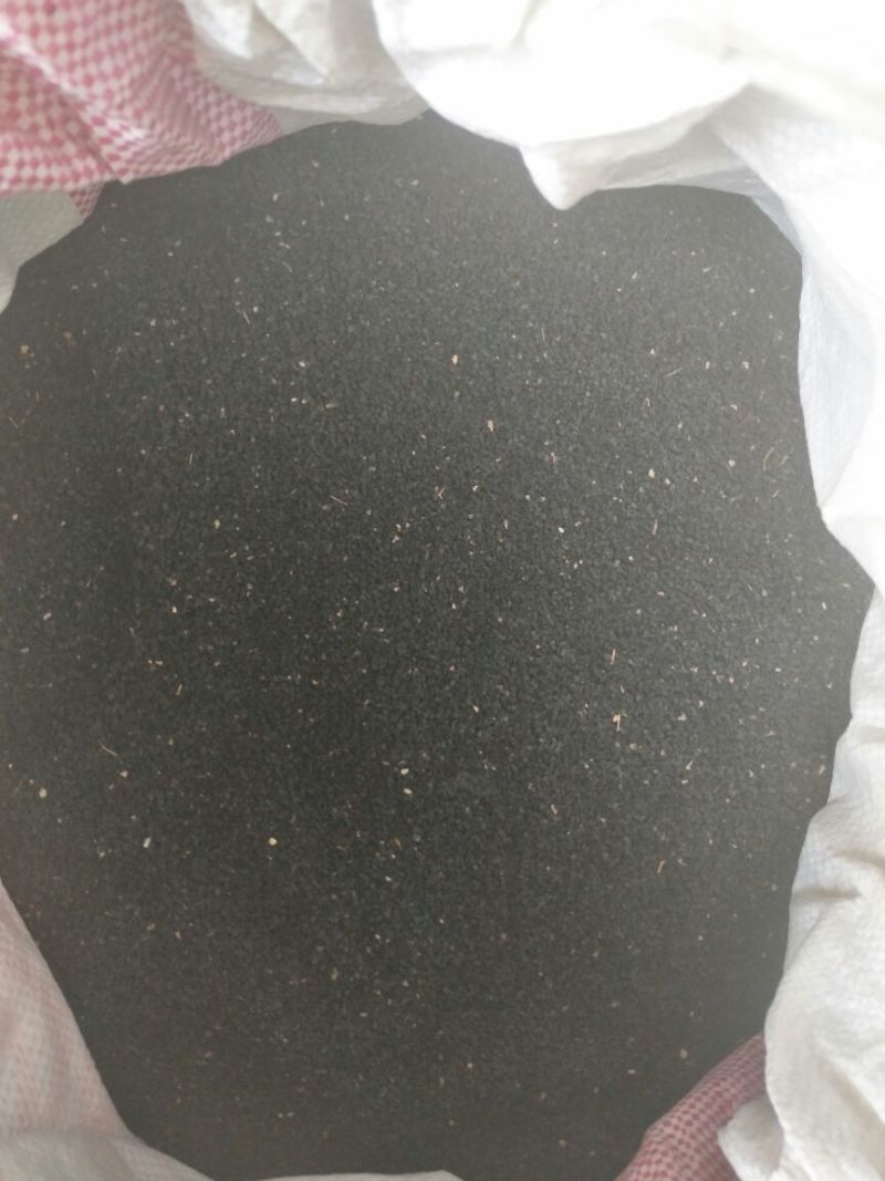 甘肃省四季蒜苗种子产地直销