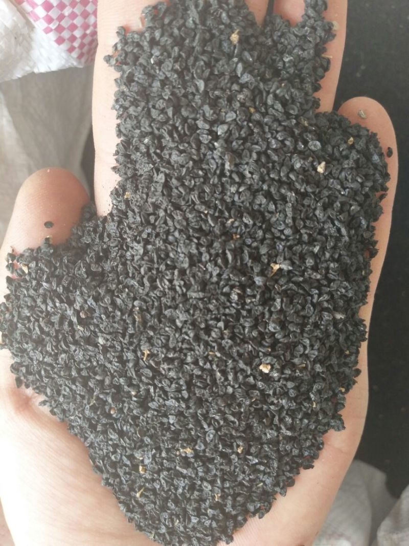 甘肃省四季蒜苗种子产地直销