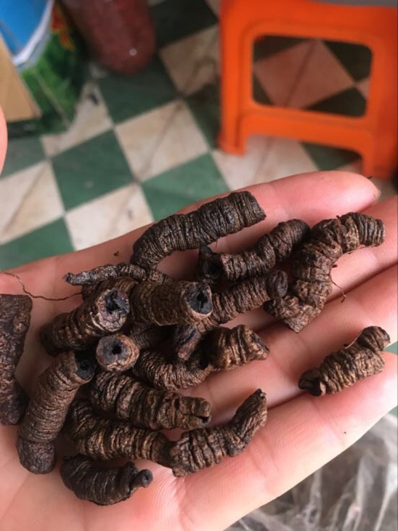 巴戟天二级