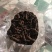 巴戟天二级