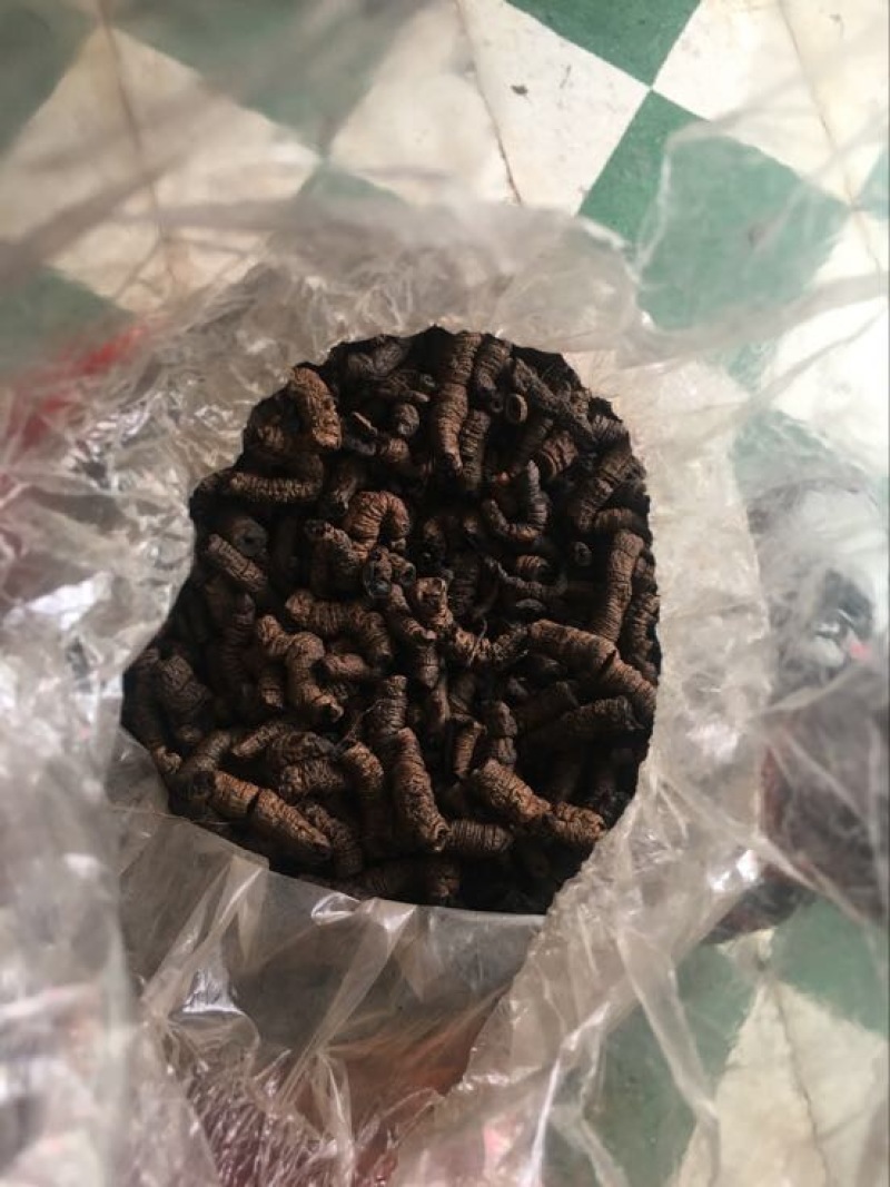 巴戟天二级