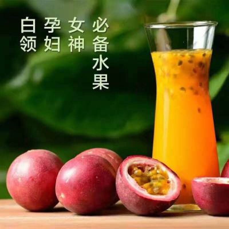 紫香一号百香果原浆果肉