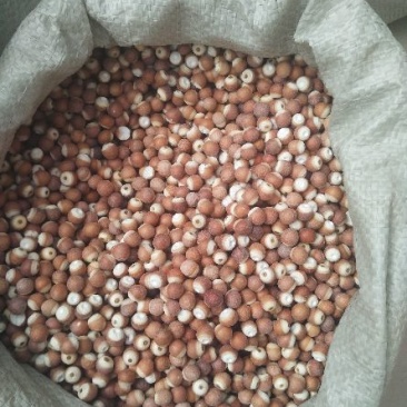 芡实整粒半粒