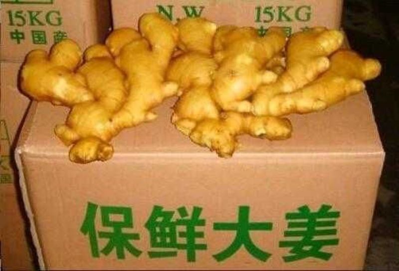 【小黄姜】山东优质生姜一手货源保质保量随到随装产地直供