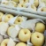 全国现代果业十强县大量供应酥梨