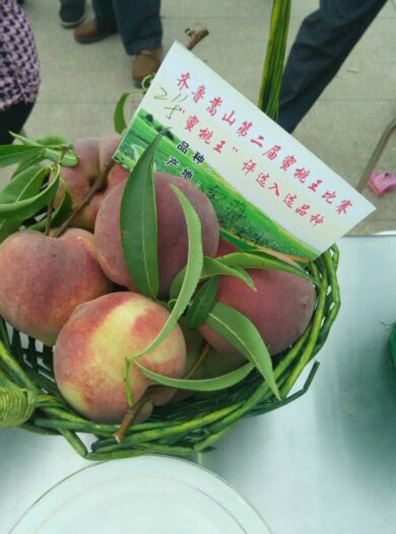 青州蜜桃45mm以上
