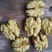 青皮核桃30mm以上青皮湿