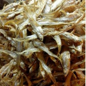 毛刀鱼食用冻鱼