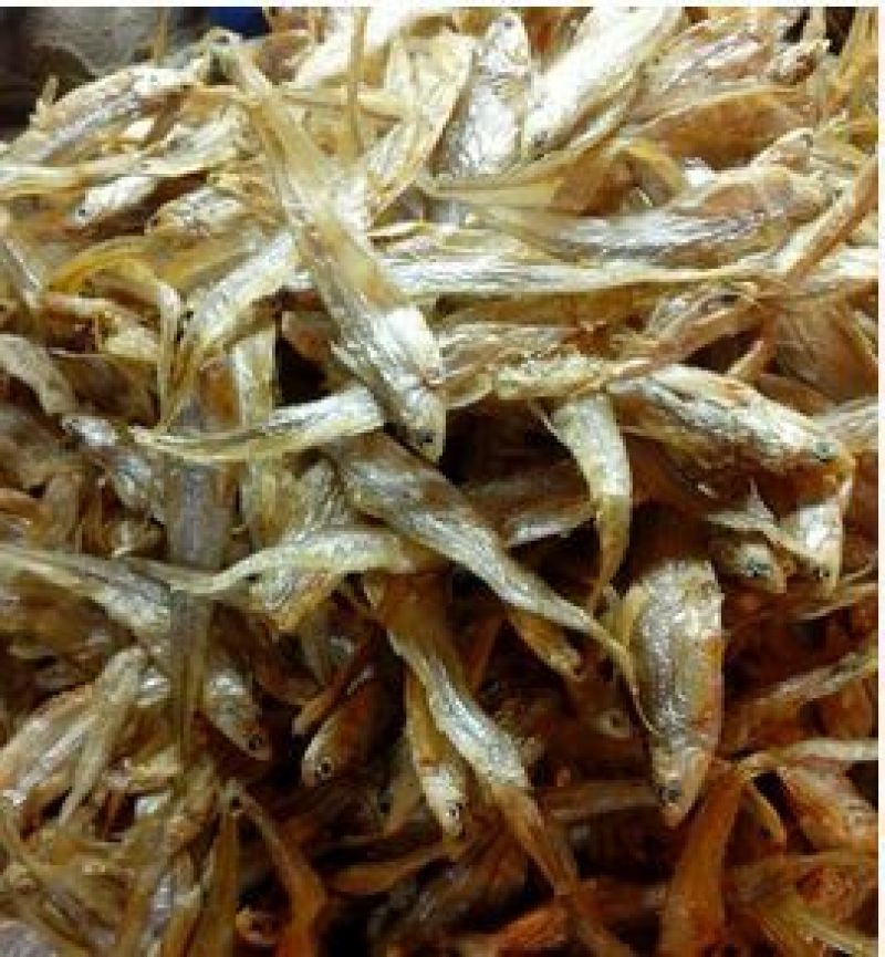 毛刀鱼食用冻鱼