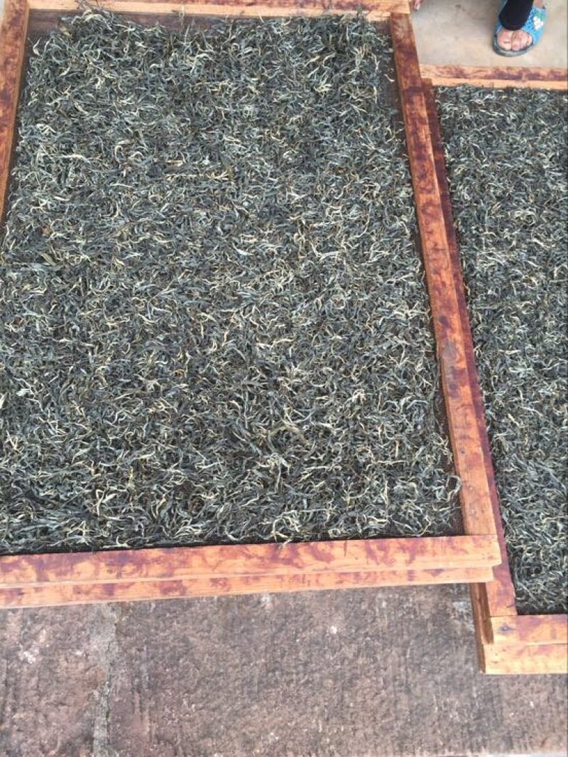 普洱茶一级