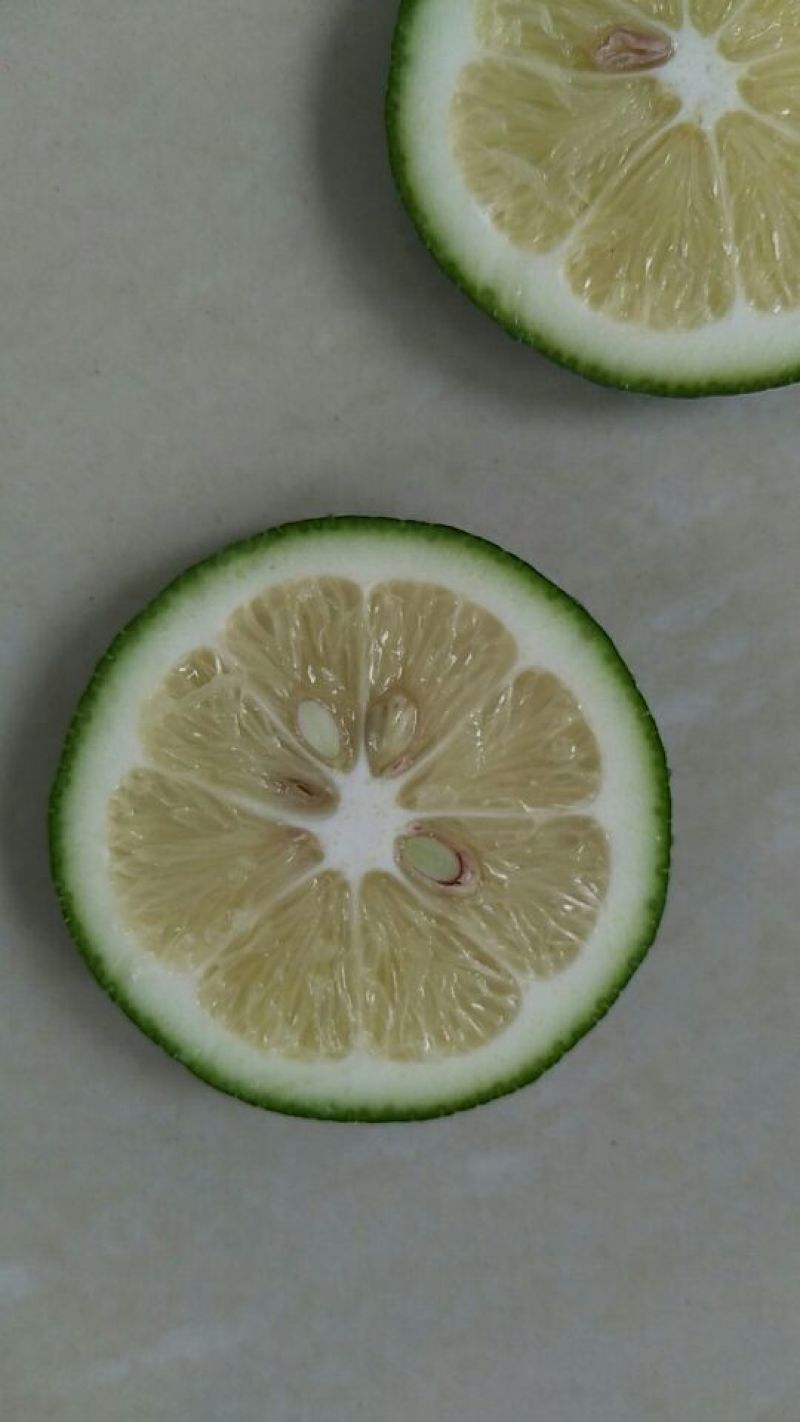 青柠檬2~2.6两
