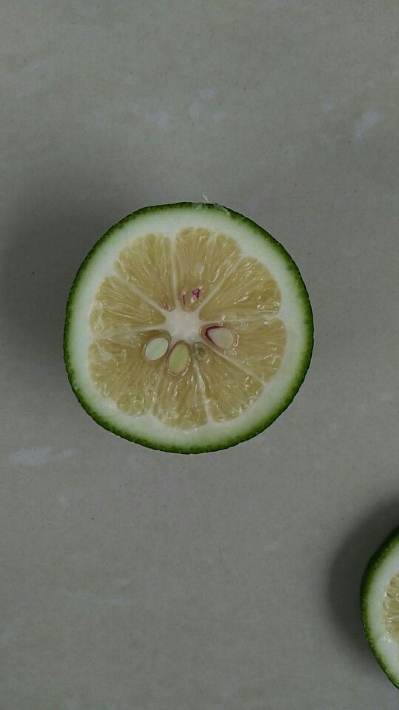 青柠檬2~2.6两