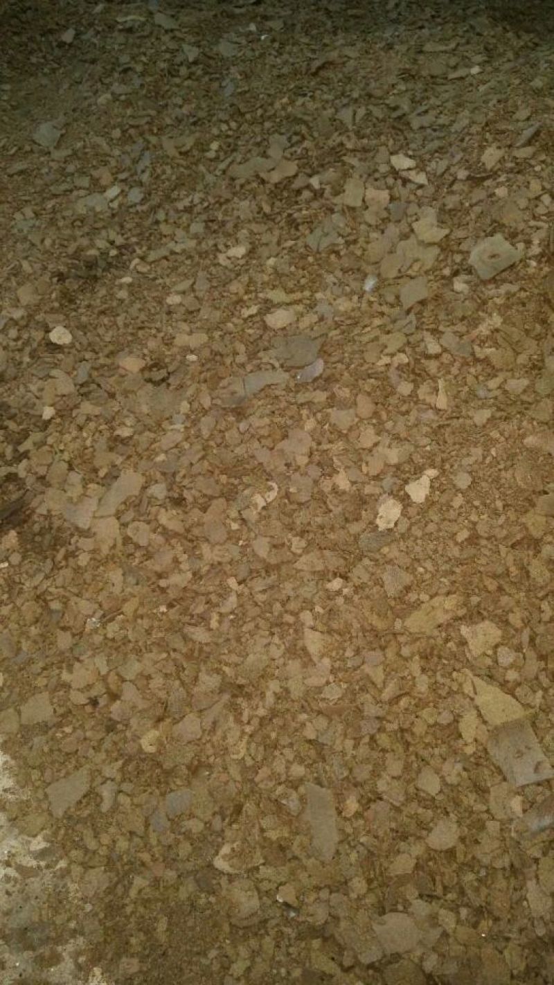【精品】菜籽饼黄饼加工利用保质保量欢迎选购