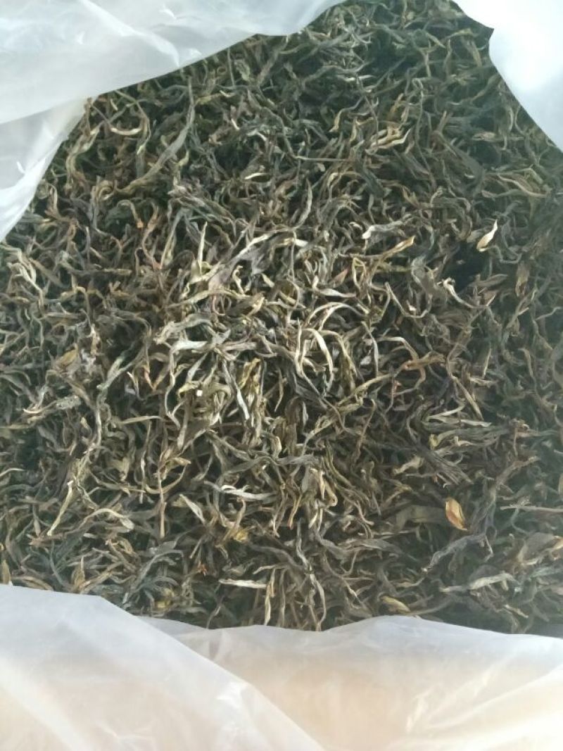 普洱茶三级
