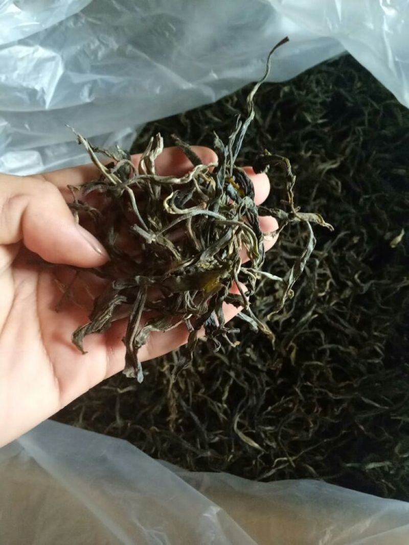 普洱茶三级