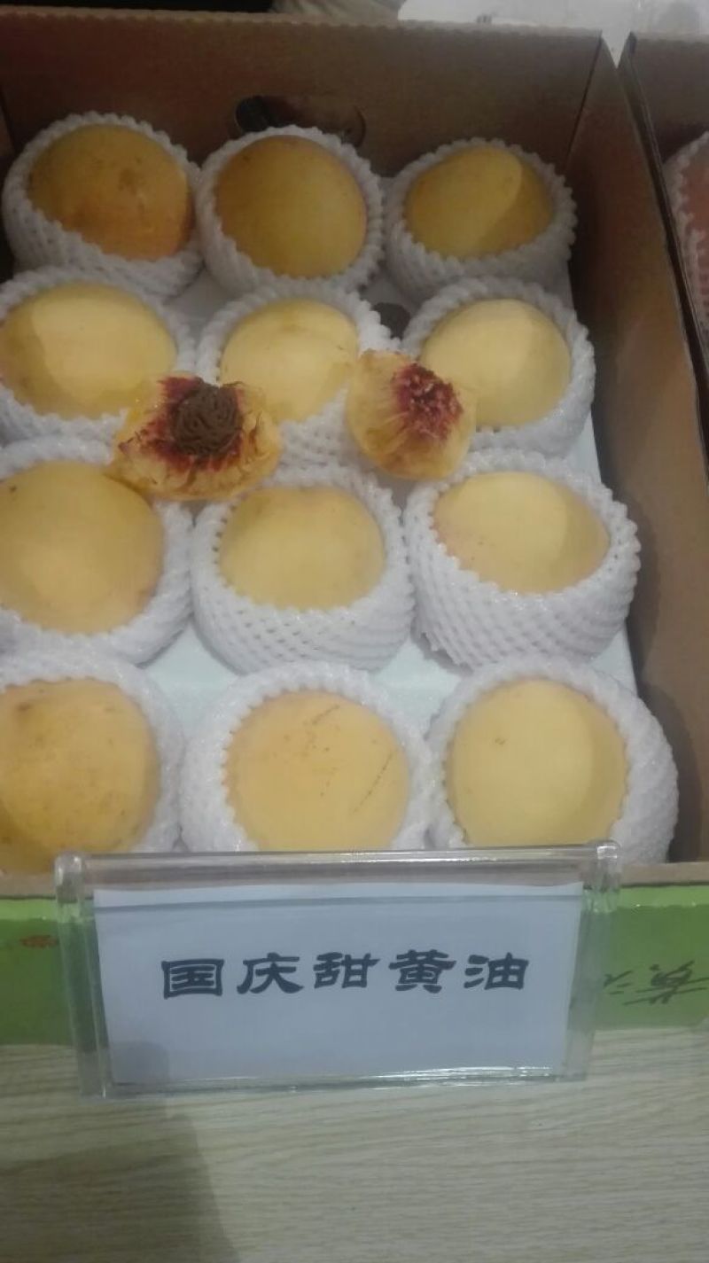 玉露香梨树苗0.8~3cm100~150cm