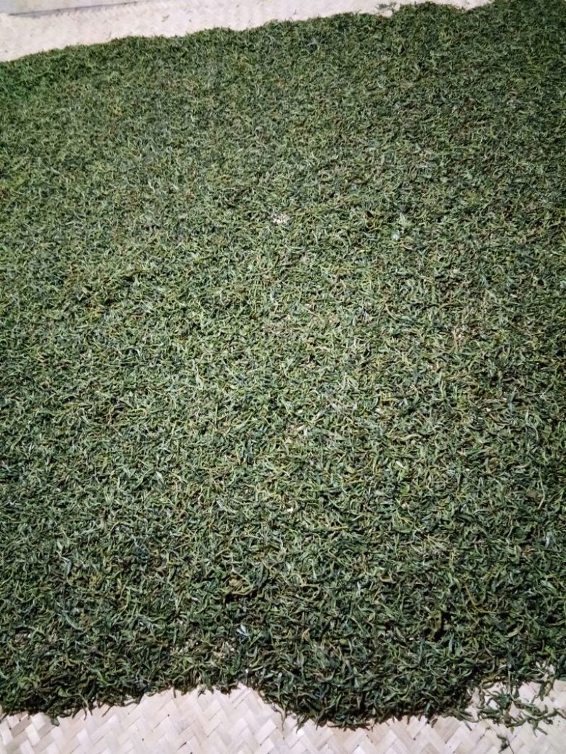 普洱茶二级