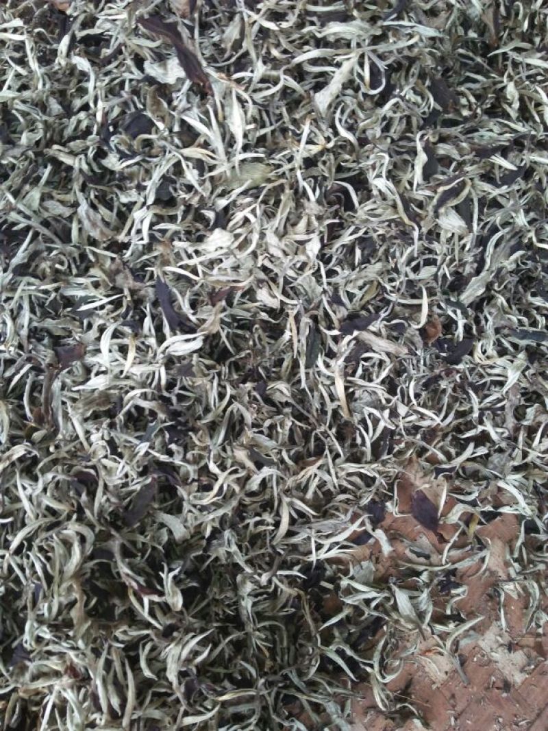 普洱茶特级