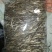 普洱茶特级