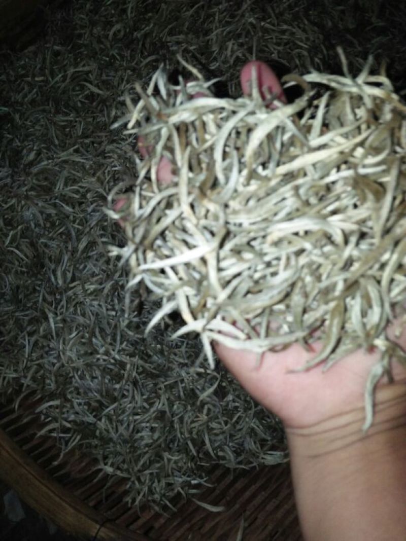 普洱茶特级