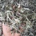 普洱茶特级