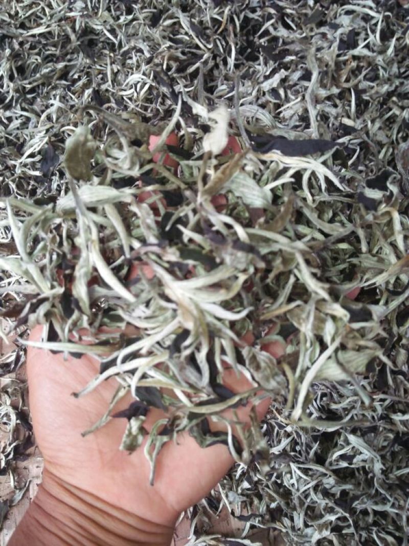 普洱茶特级