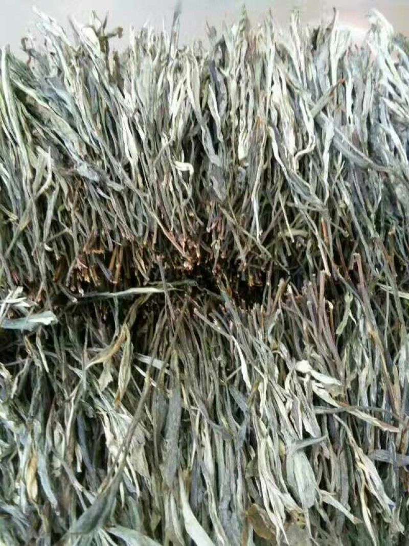 普洱茶特级
