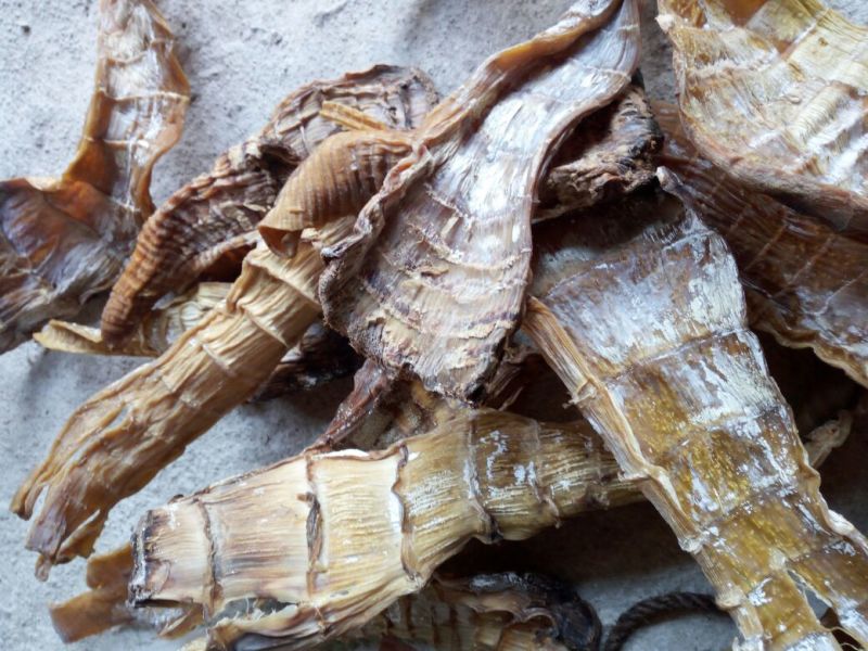 干笋