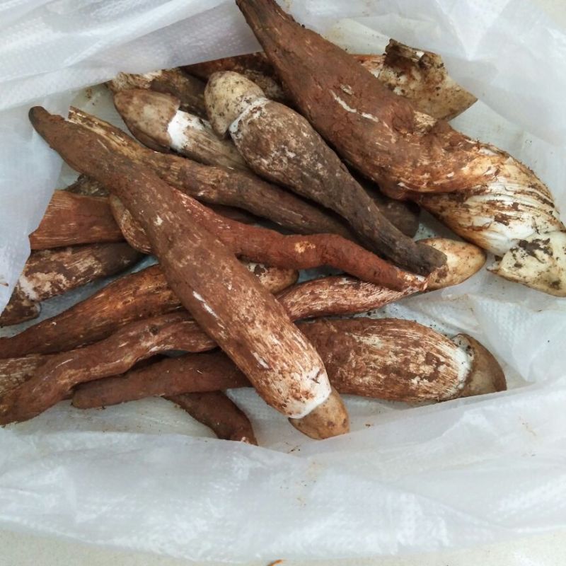 野生菌鸡枞菌可一件代发