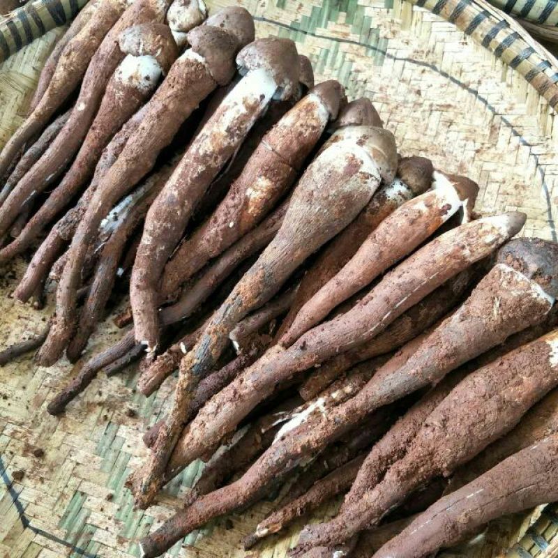 野生菌鸡枞菌可一件代发
