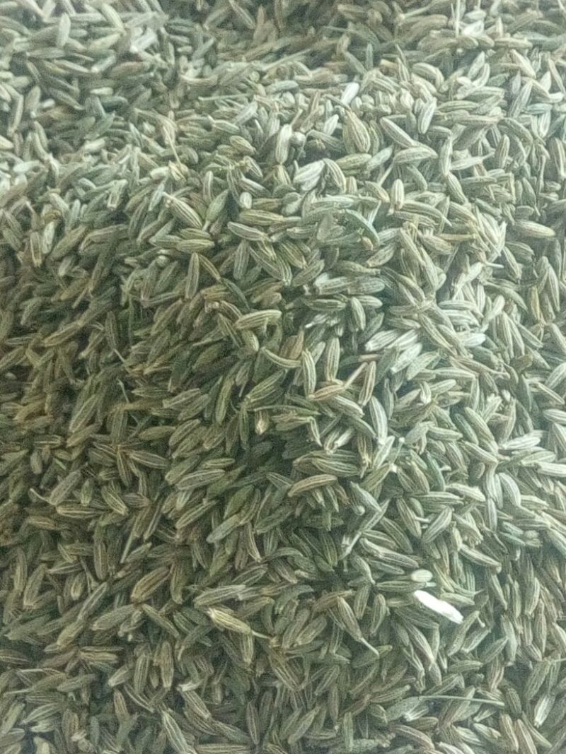 孜然