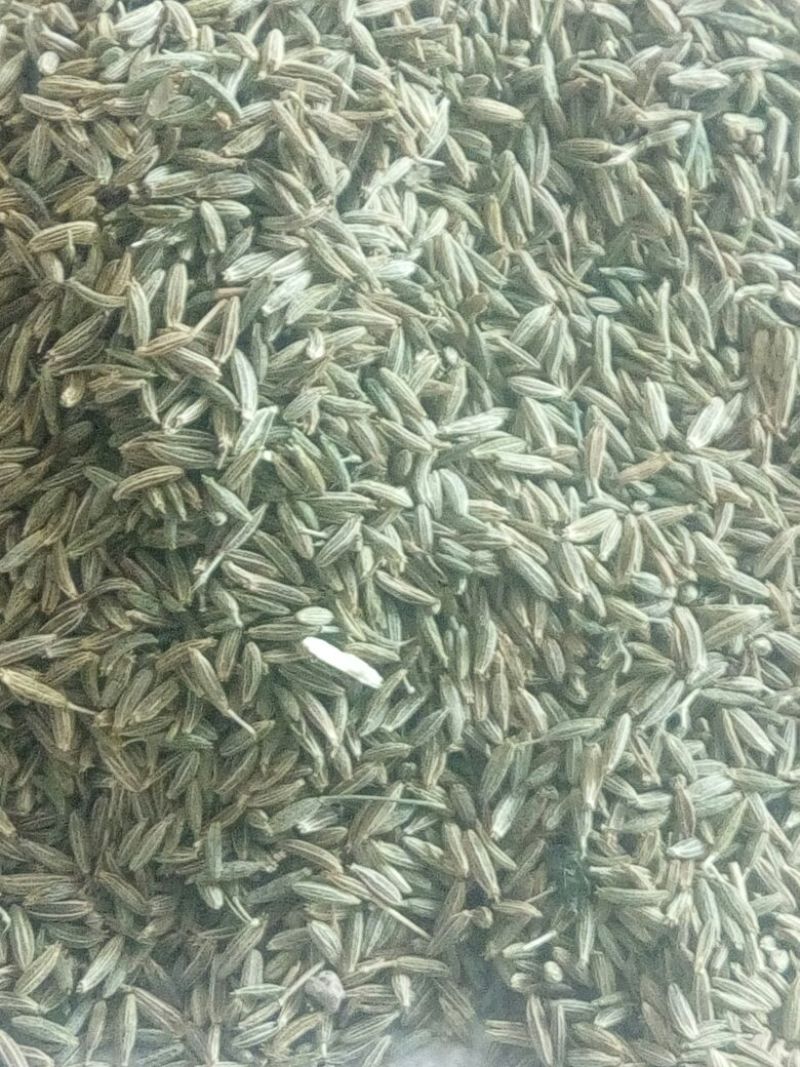 孜然