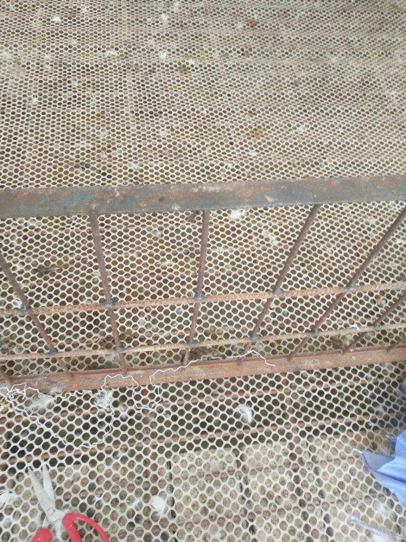火鸭肉鸭