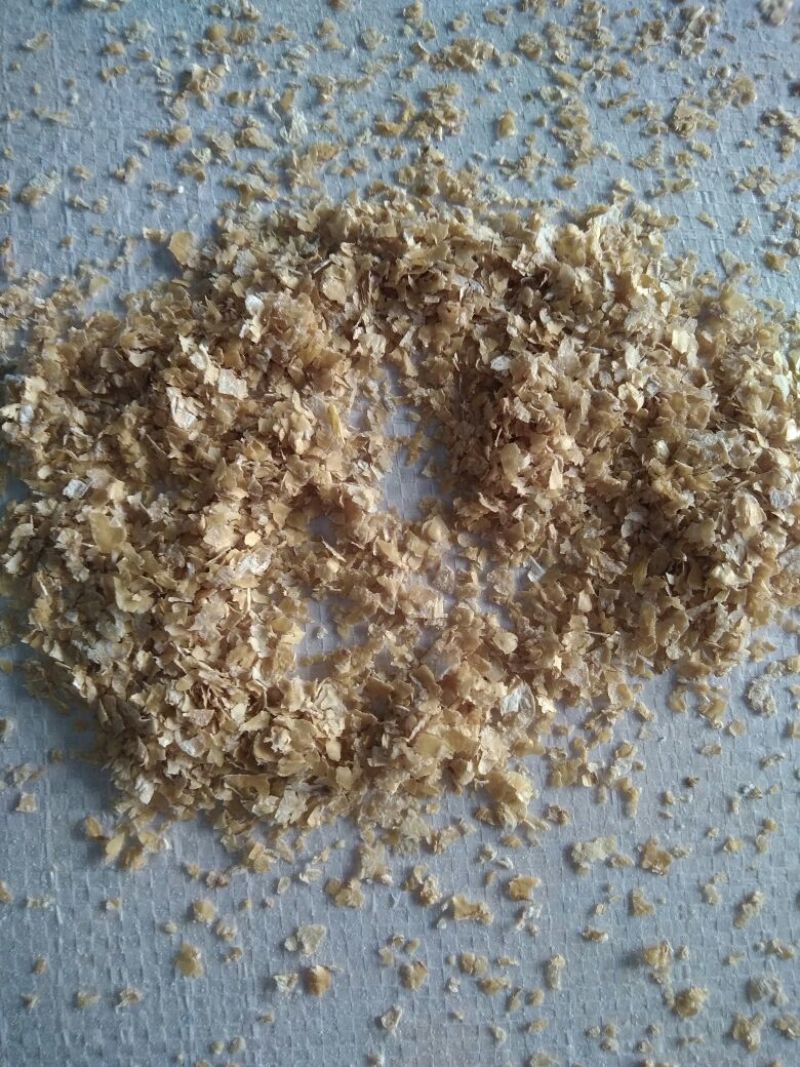 麸皮饲料