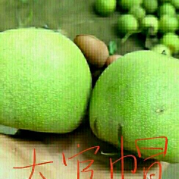 文玩核桃