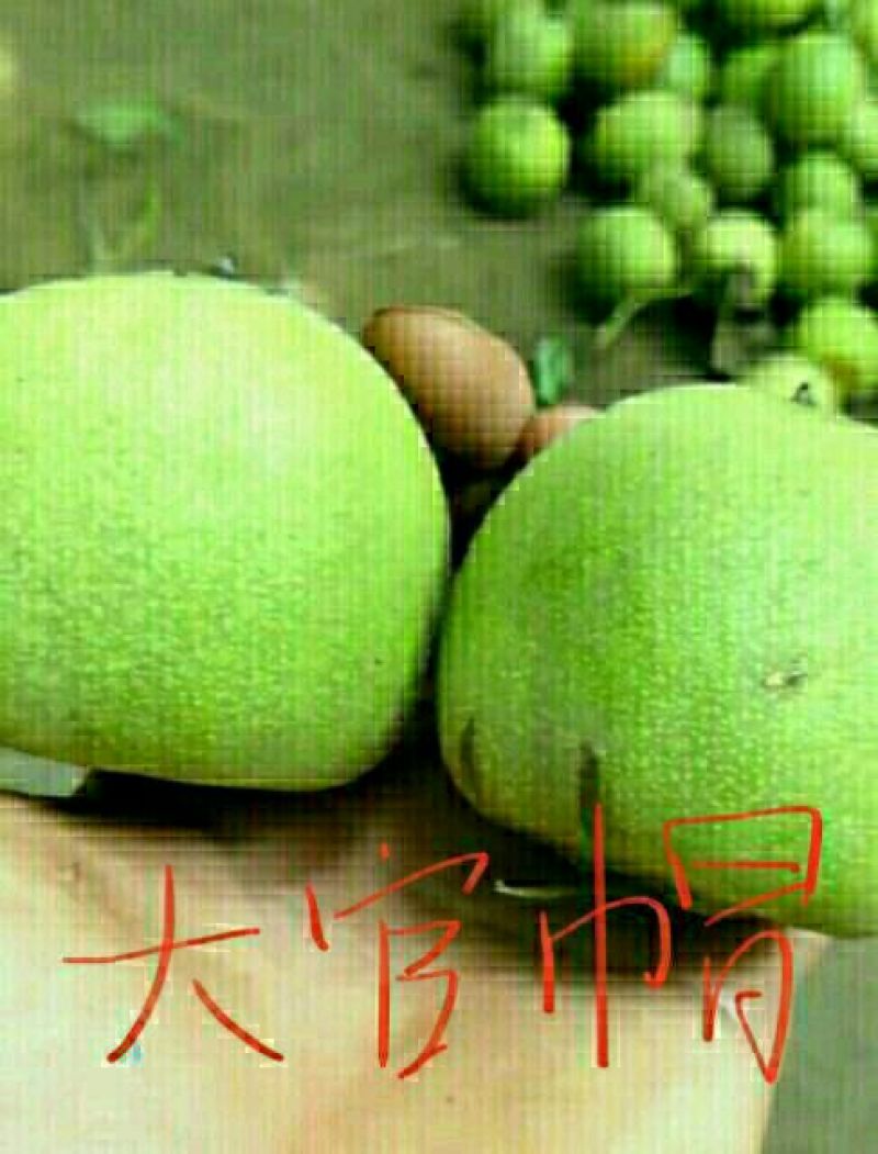 文玩核桃