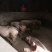 猪头肉包装
