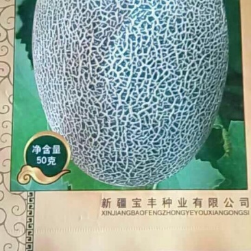 西州蜜瓜3斤以上椭圆形