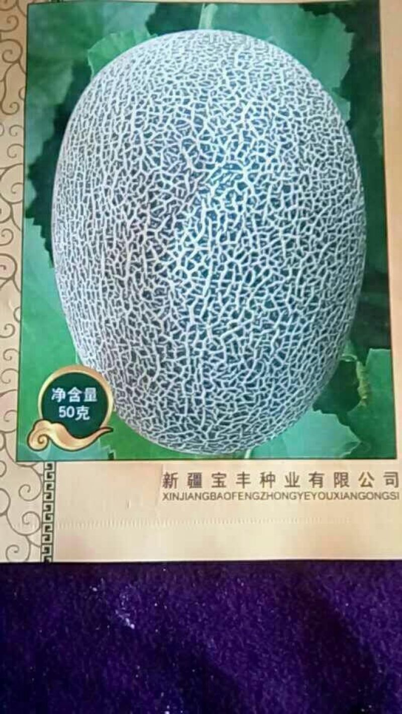 西州蜜瓜3斤以上椭圆形