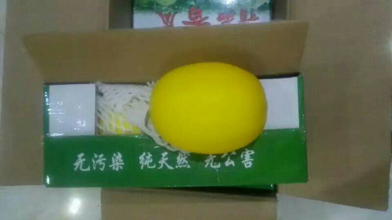黄86哈密瓜5斤以上椭圆形