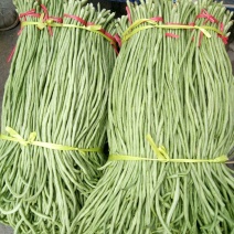 长豆角60厘米以上，无虫眼，无加心，产地直发，欢迎咨询