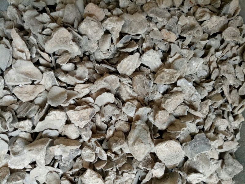 药用牡蛎万年牡蛎河北散装干货各种矿石类中药材