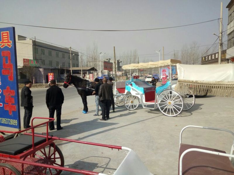 汗血马400~500kg