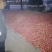 硬粉西红柿通货硬粉弧二以上果好，颜色亮