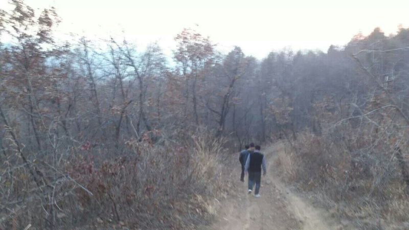 核桃，山核桃，秋子核桃工艺品核桃东北野生山核桃