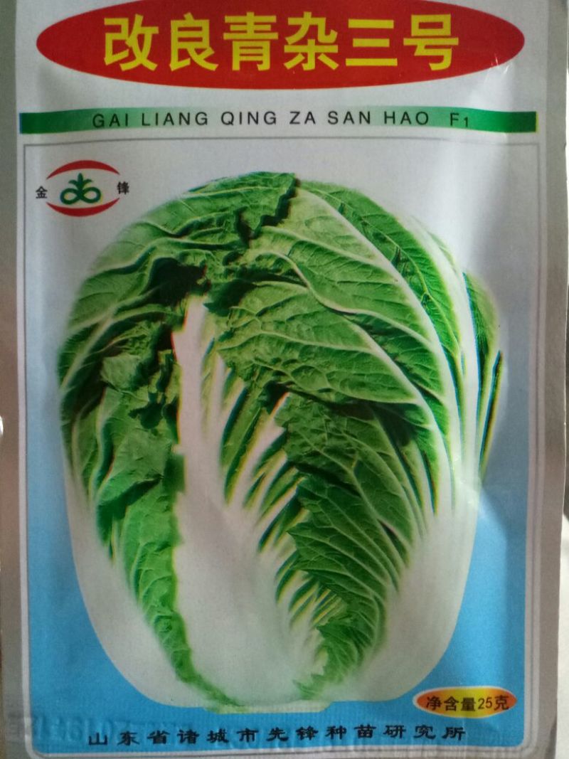 白菜种子