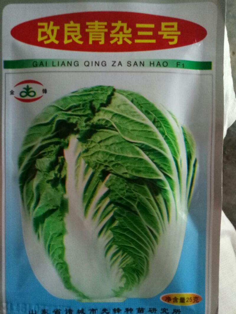 白菜种子