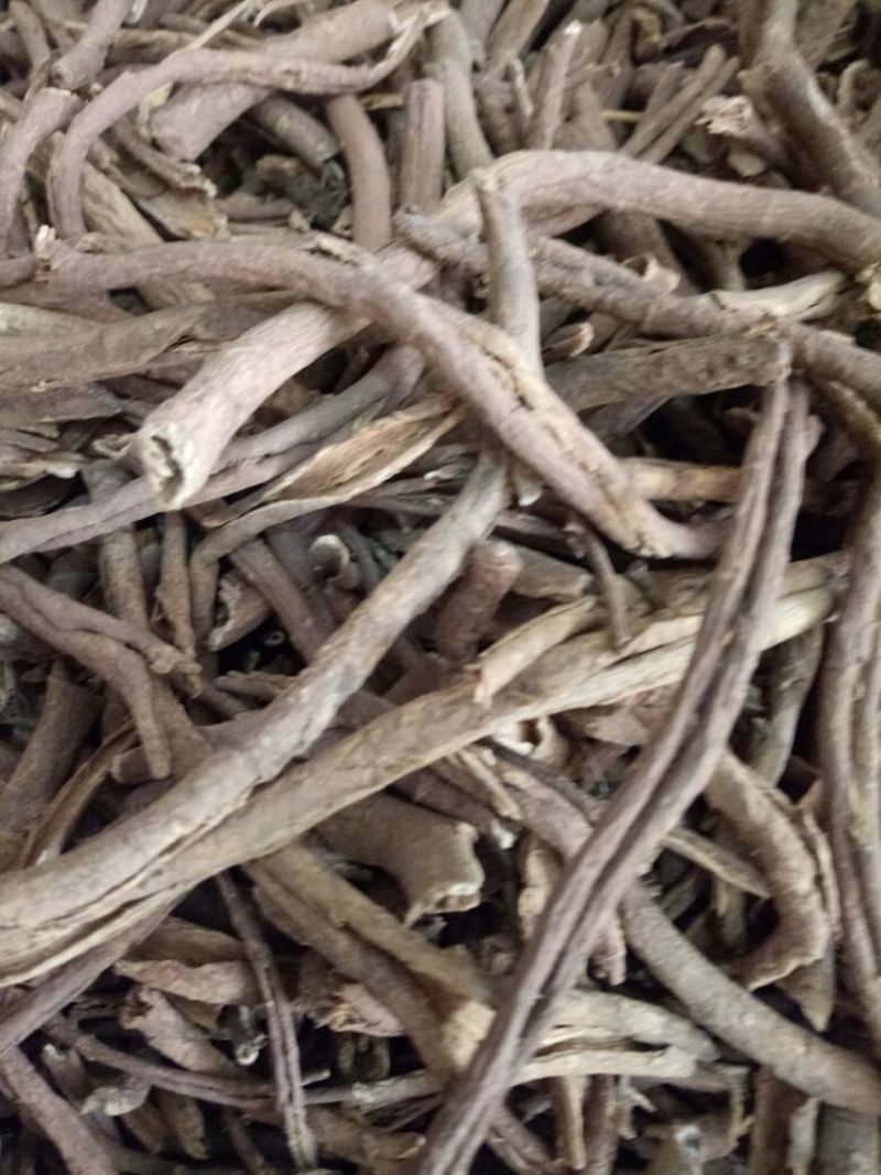 南五加皮湖南干货中药用量大从优常年经营各种中药材