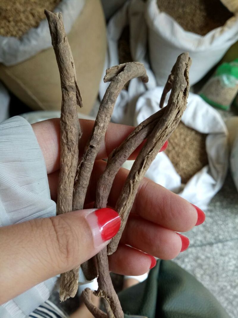 南五加皮湖南干货中药用量大从优常年经营各种中药材