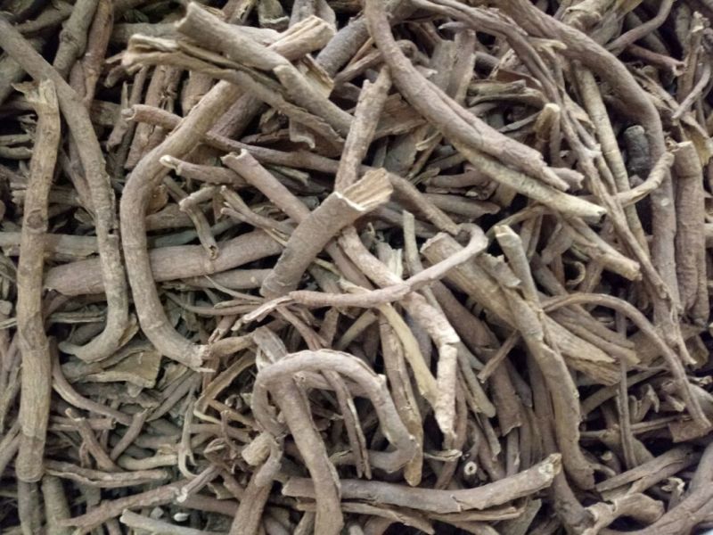 南五加皮湖南干货中药用量大从优常年经营各种中药材